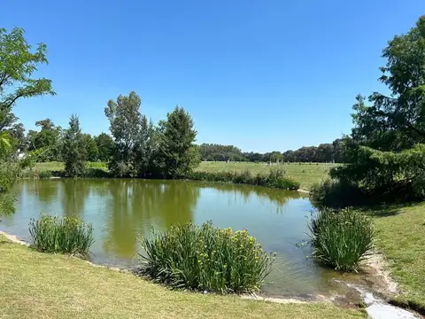 Terreno en Venta en Vicente Casares, USD 39.500