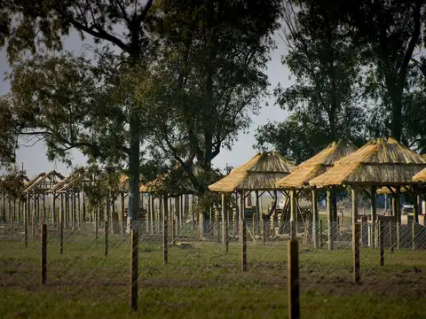 Terreno en Venta en Yachting Club Don Luis, USD 8.000