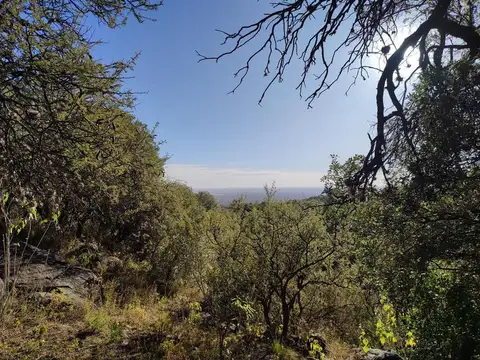 Campo en Venta Floricultura