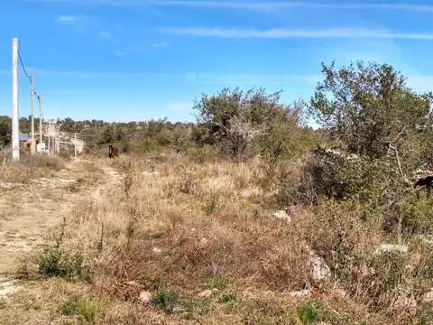 Terreno Campo  en Venta ubicado en Cortaderas, Chacabuco - LAN0247_LP359396_4