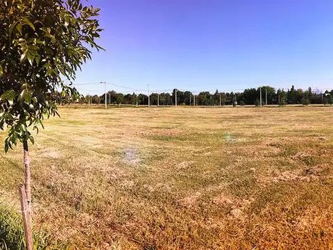 Terreno en Venta de 516,0 m2