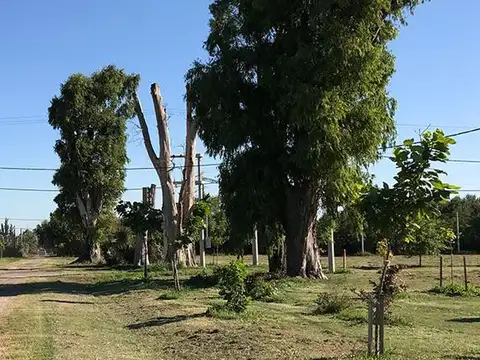 Terreno -  Futbol -  Tenis - Plaza - Gas natural