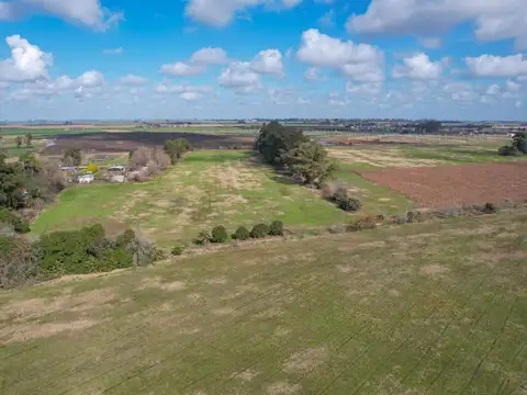 CAMPO EN VENTA 3,4 HAS - VILLA AMELIA