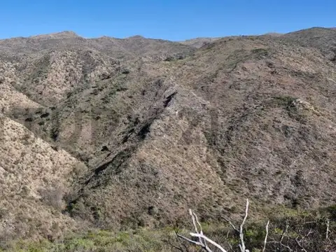 CAMPO DE 220,64 HECTAREAS en Alta Gracia - OPORTUNIDAD