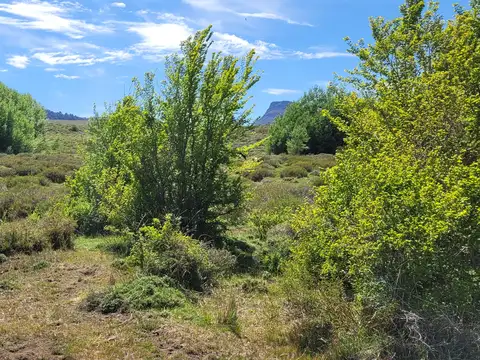 Terreno en Venta en Huechulafquen, USD 33.750