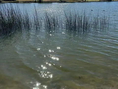 Terreno en Venta de 841,0 m2