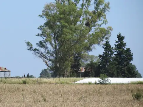 Campo en Venta con Alambrado