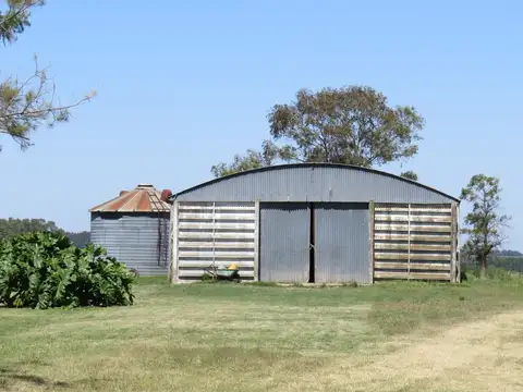 CAMPO EN VENTA. 116 HECTAREAS MIXTAS. BARADERO IRENEO PORTELA CUARTEL SEXTO