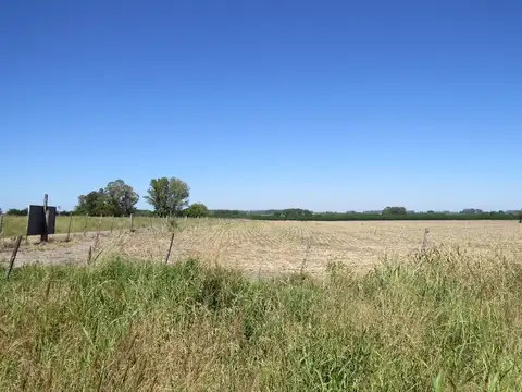 Campo en Venta Mixto