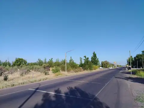 Terreno en Venta en Colonia Jara, USD 45.000