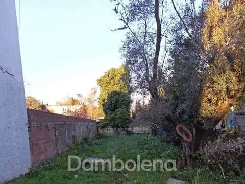 Terreno en Venta de 381,0 m2