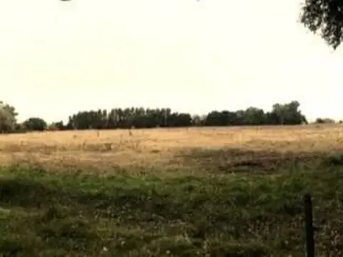 Fracción de 14 has. C/Mejoras en excelente ubicación - Torres - Luján