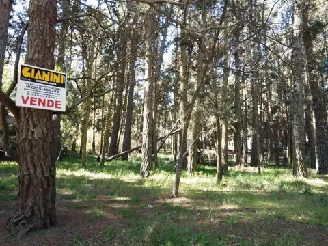 Terreno en Venta en Alfalad, USD 70.000