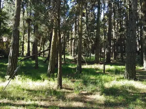 Terreno en Venta de 675,0 m2