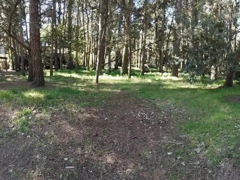 Terreno - Venta - Argentina, Mar de las Pampas