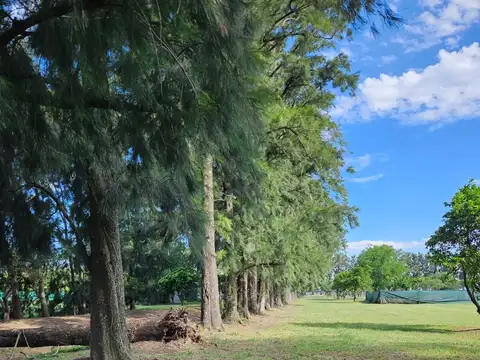 Terreno en Venta en Fighiera, USD 49.500