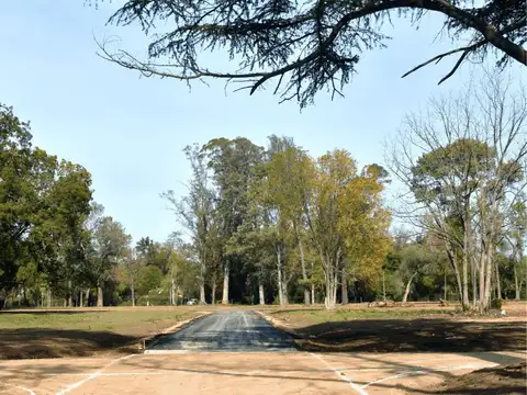 Terreno en Venta de 426000,0 m2