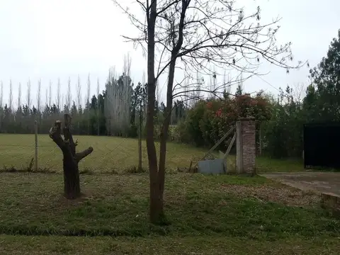 LOTE EN VENTA CARDALES