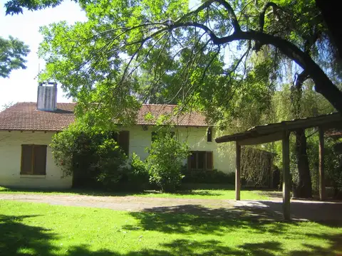 Gral Manuel Belgrano 1200