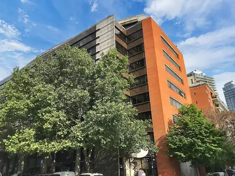 Encarnacion Ezcurra al 300