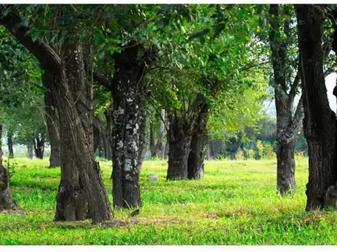 Lote Plano Venta 1.163 M2 El Prado Eco Village Rta 51