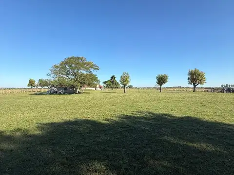 Campo Agrícola Ganadero