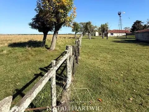 Campo Agrícola Ganadero