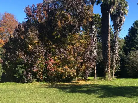 Quinta en Venta de 5 dormitorios