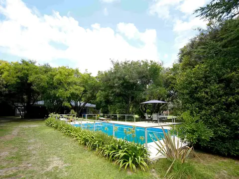 Tupac Amaru y Moreno 100