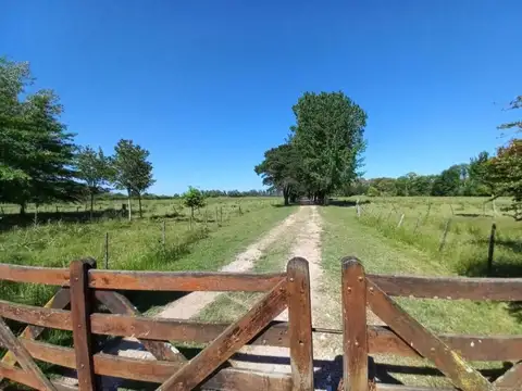 Campo 10 hectareas - Exaltacion de la Cruz- Ruta 192
