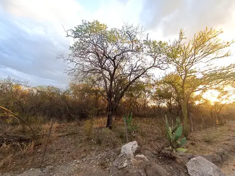 Terreno en Venta en Villa de las Rosas, USD 26.000