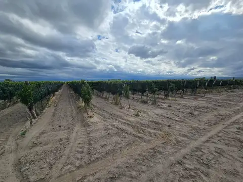 Ruta Provincila 99 s/n