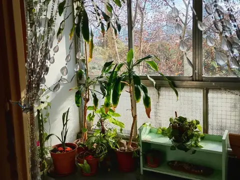 Departamento en Alquiler Temporal de 3 ambientes