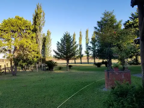 Campo en Venta Mixto