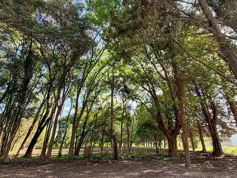 Cañuelas -Nuevo Ecobarrio La Arbolada - Tu rincón en el mundo!