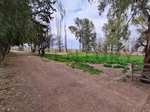 VENTA FINCA 51HA K48 UGARTECHE