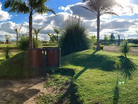 Campos De La Enriqueta