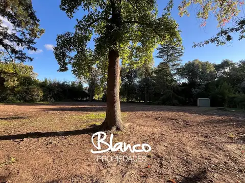 Terreno en Venta de 827,0 m2