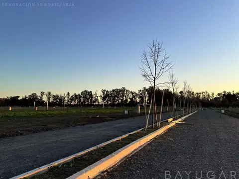 Terreno en Venta 25  mts Fondo