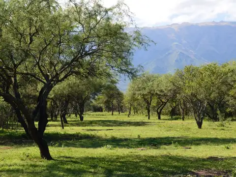 Terreno en Venta en Cerro De Oro, USD 26.000