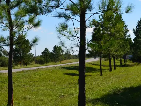 Terreno en Venta 36  mts Fondo