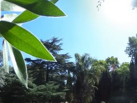 Quinta en Venta con 4 cocheras