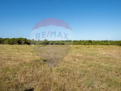 Chacra Marítima en venta - Precio Lanzamiento  