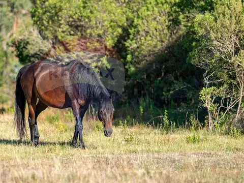 Chacra Marítima en venta - Precio Lanzamiento  