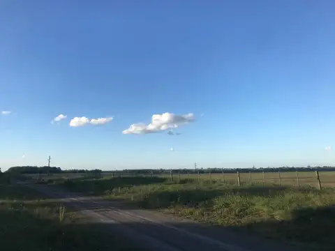 Campo 15 Ha - Tala, Entre Ríos, a metros de RN39