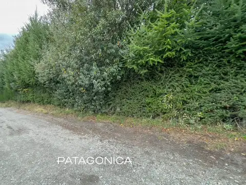 Terreno en Venta 55  mts Frente