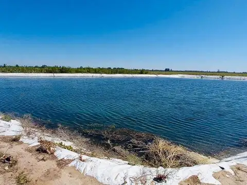 Venta Finca en producción 52,60has San Martín