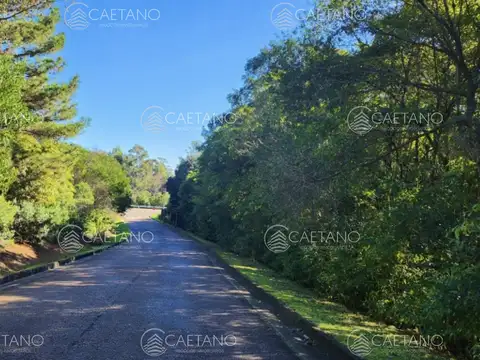 Terreno en Venta en Punta Ballena, USD 180.000