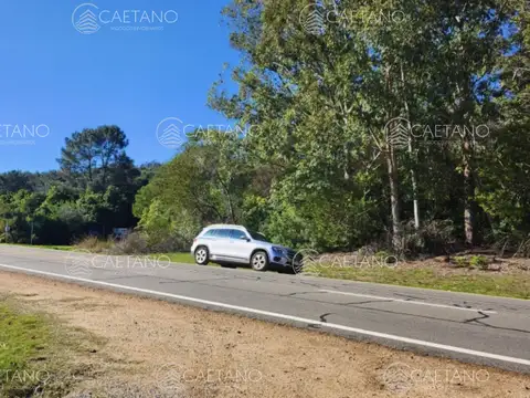 Terreno en Venta en Punta Ballena, USD 180.000