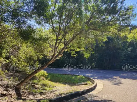 Terreno en Venta de 4226,0 m2